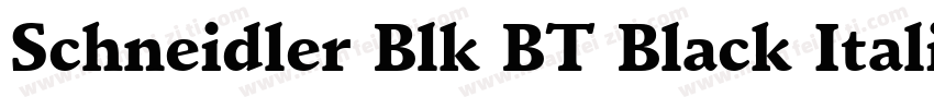 Schneidler Blk BT Black Italic字体转换